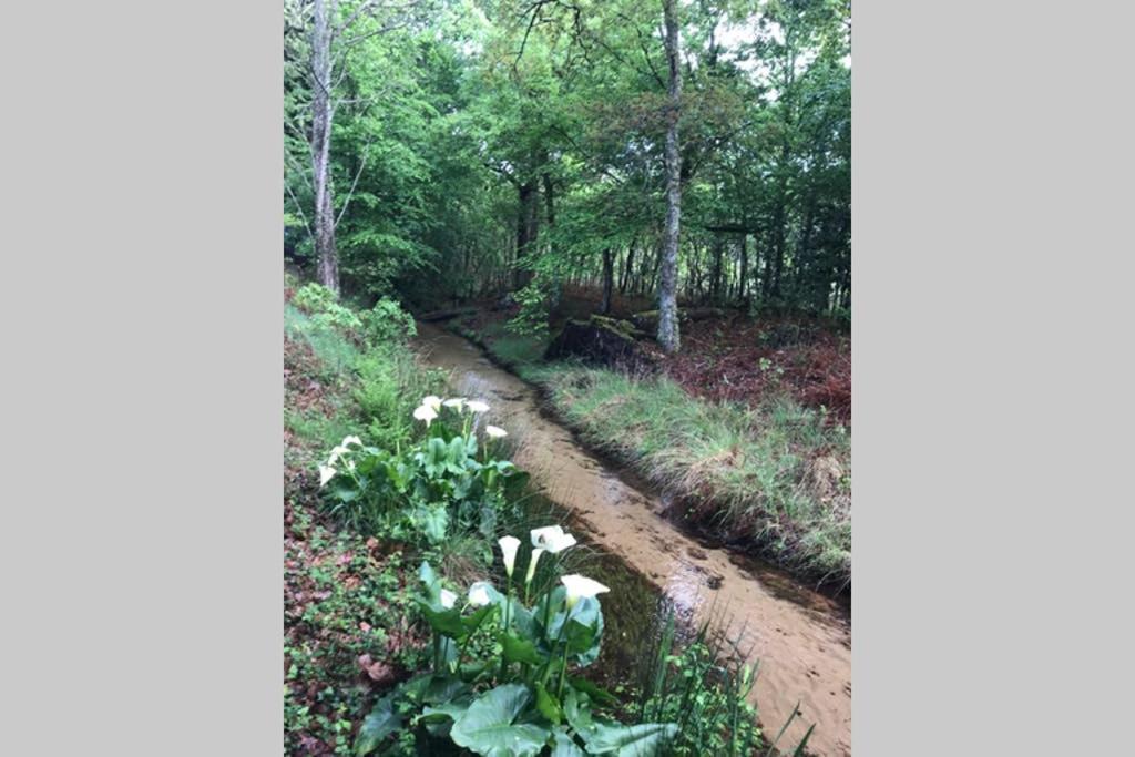 Вілла Spa Et Detente Au Coeur De La Foret Des Landes - 3 Etoiles Luglon Екстер'єр фото